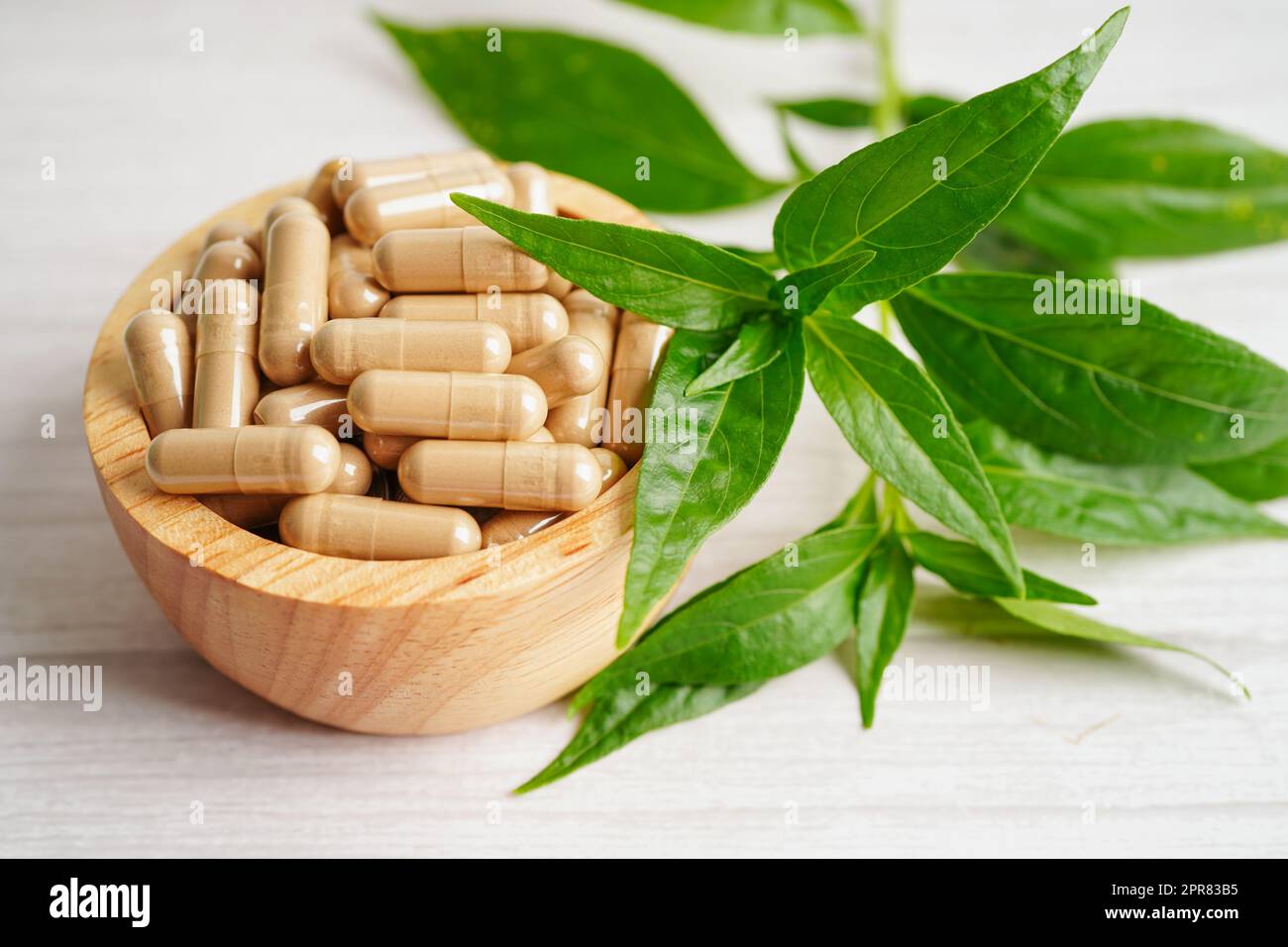 Andrographis paniculata or Kariyat leaf plant with herb capsules to treating covid19 coronavirus infection. Stock Photo