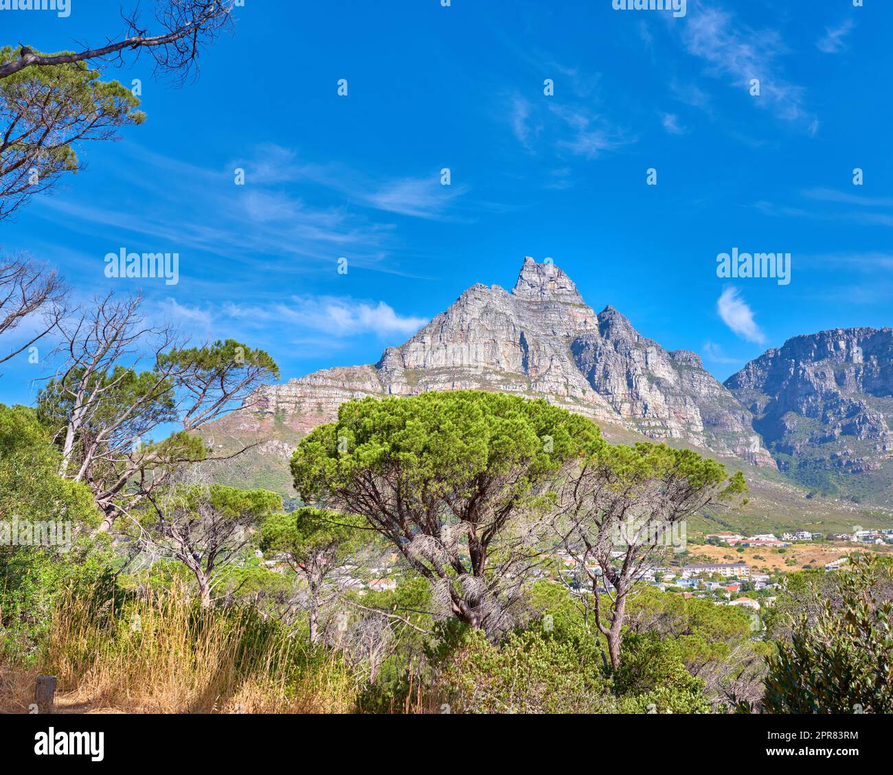 Copy space with a scenic landscape view of Table Mountain in Cape Town, South Africa against a blue sky background with trees and plants. Beautiful panoramic of an iconic landmark and natural wonder Stock Photo