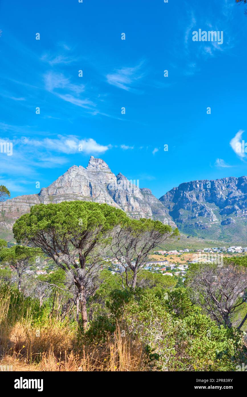 Landscape view and blue sky with copy space of Table Mountain in Cape Town, South Africa. Steep scenic famous hiking and trekking terrain with trees growing around it. Travel and tourist attraction Stock Photo