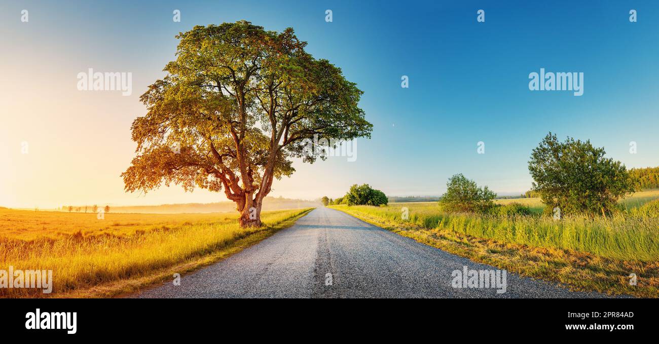 Rural landscape alone tree hi-res stock photography and images - Alamy