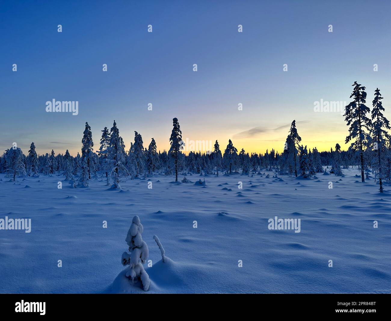 A scenic winter scene of a cold field covered in a blanket of snow under a sunset sky Stock