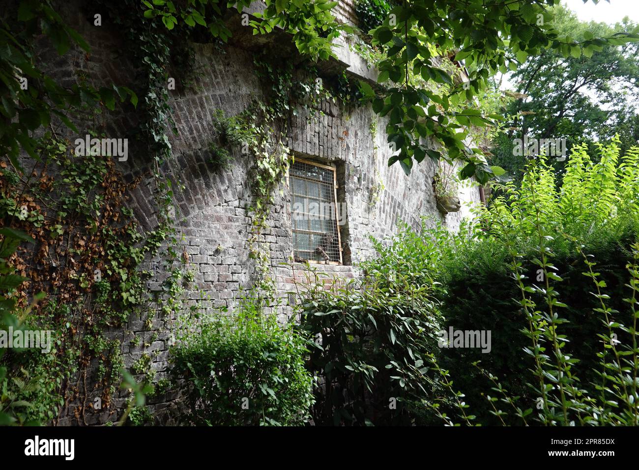 Verfallendes hi-res stock photography and images - Alamy