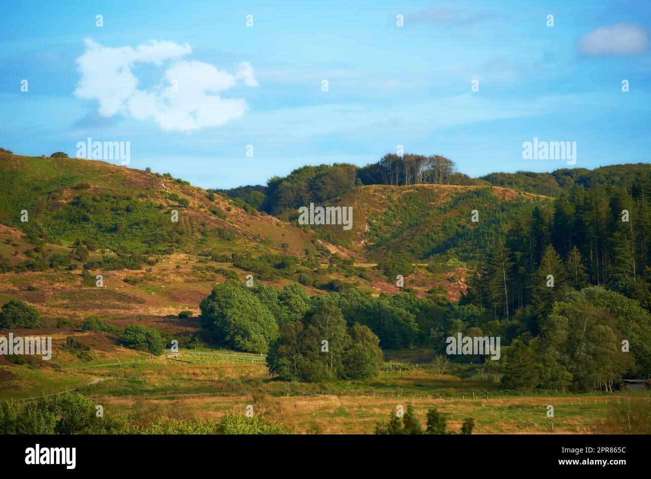 Hills with green grass, trees and plants on a cloudy summer day. Beautiful landscape and scenery of nature. Outdoors in an adventurous location to hike and explore. Mountain range with a scenic view Stock Photo