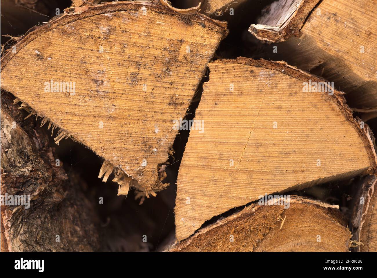 Preparation of firewood for the winter. Stacks of firewood in the forest. Firewood background. Sawed and chopped trees. Stacked wooden logs.. Firewood. Stock Photo