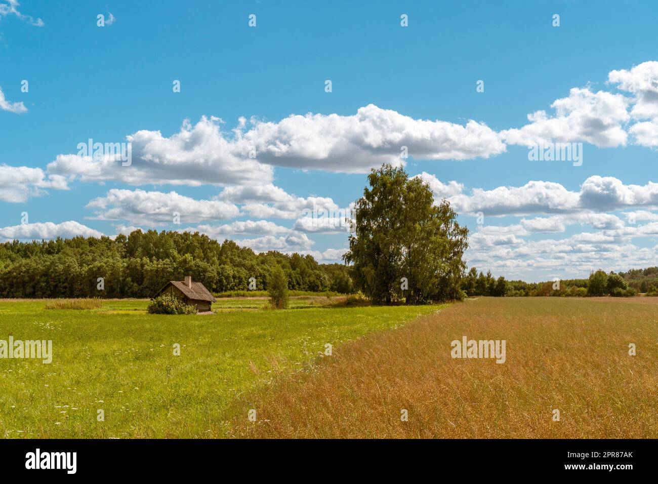 Small wooden house on farmland in forest field Stock Photo