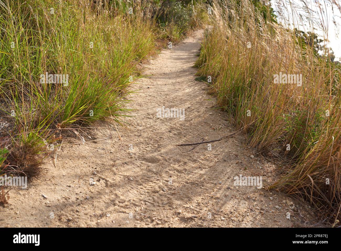 Scenic hiking trail through grassland along a mountain. Closeup of a rugged and sandy path in nature to explore during a walk in the fresh air outdoors. Remote and quiet landscape in the wilderness Stock Photo