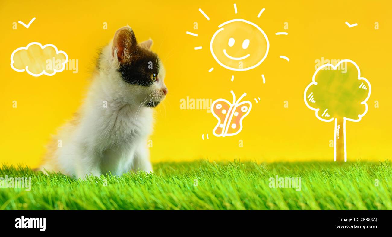 Kawaii cat hi-res stock photography and images - Alamy