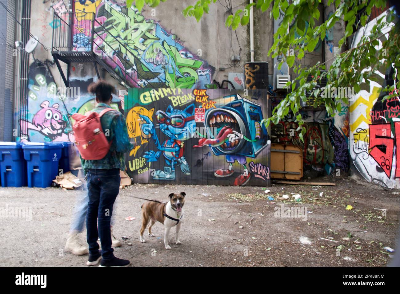 Toronto, Ontario / Canada - Sept. 24, 2022: A woman walking a dog with colourful graffiti background Stock Photo