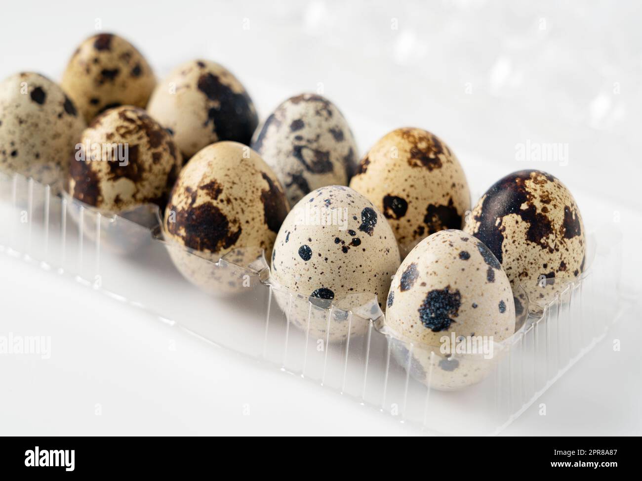Quail eggs placed on a white background Stock Photo