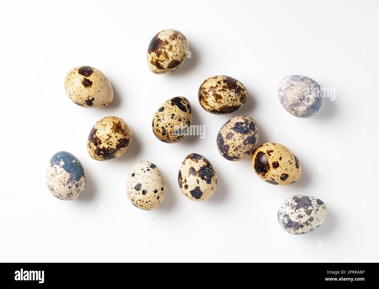 Quail eggs placed on a white background Stock Photo