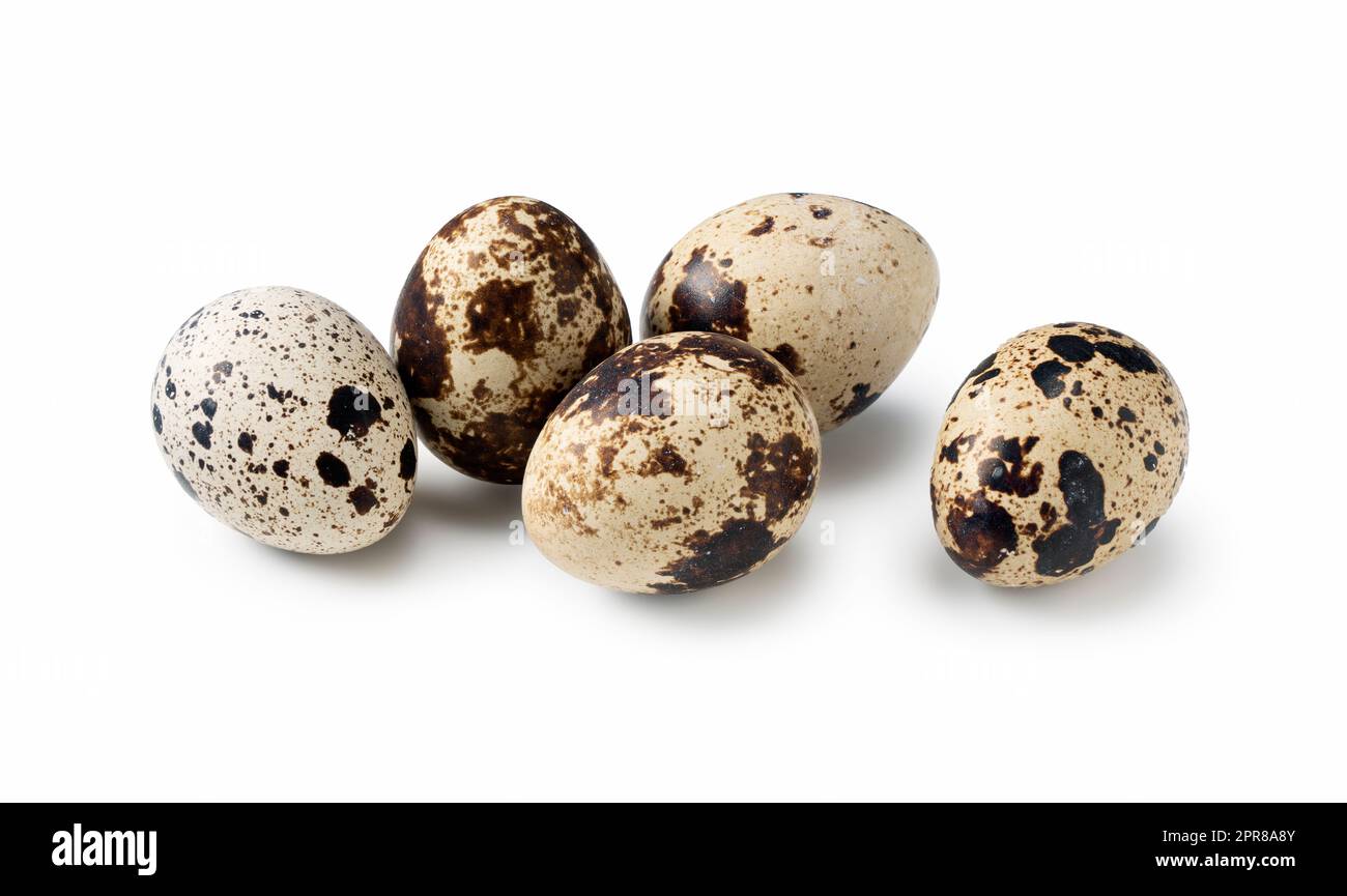 Quail eggs placed on a white background Stock Photo
