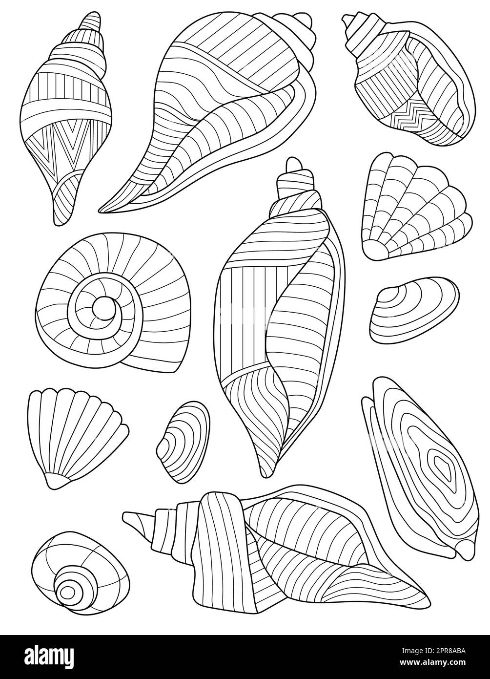 Coloring Book Page With Different Detailed Seashells Stock Photo - Alamy