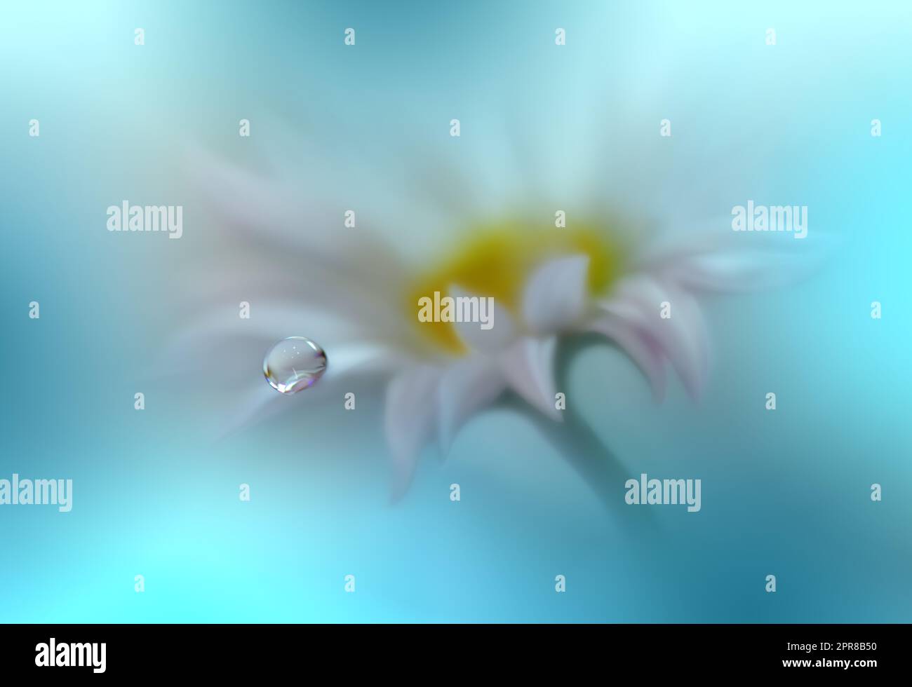 Spring Flower Blue Sky Light Effect Creative Background, Desktop Wallpaper,  Spring, Flowers Background Image And Wallpaper for Free Download