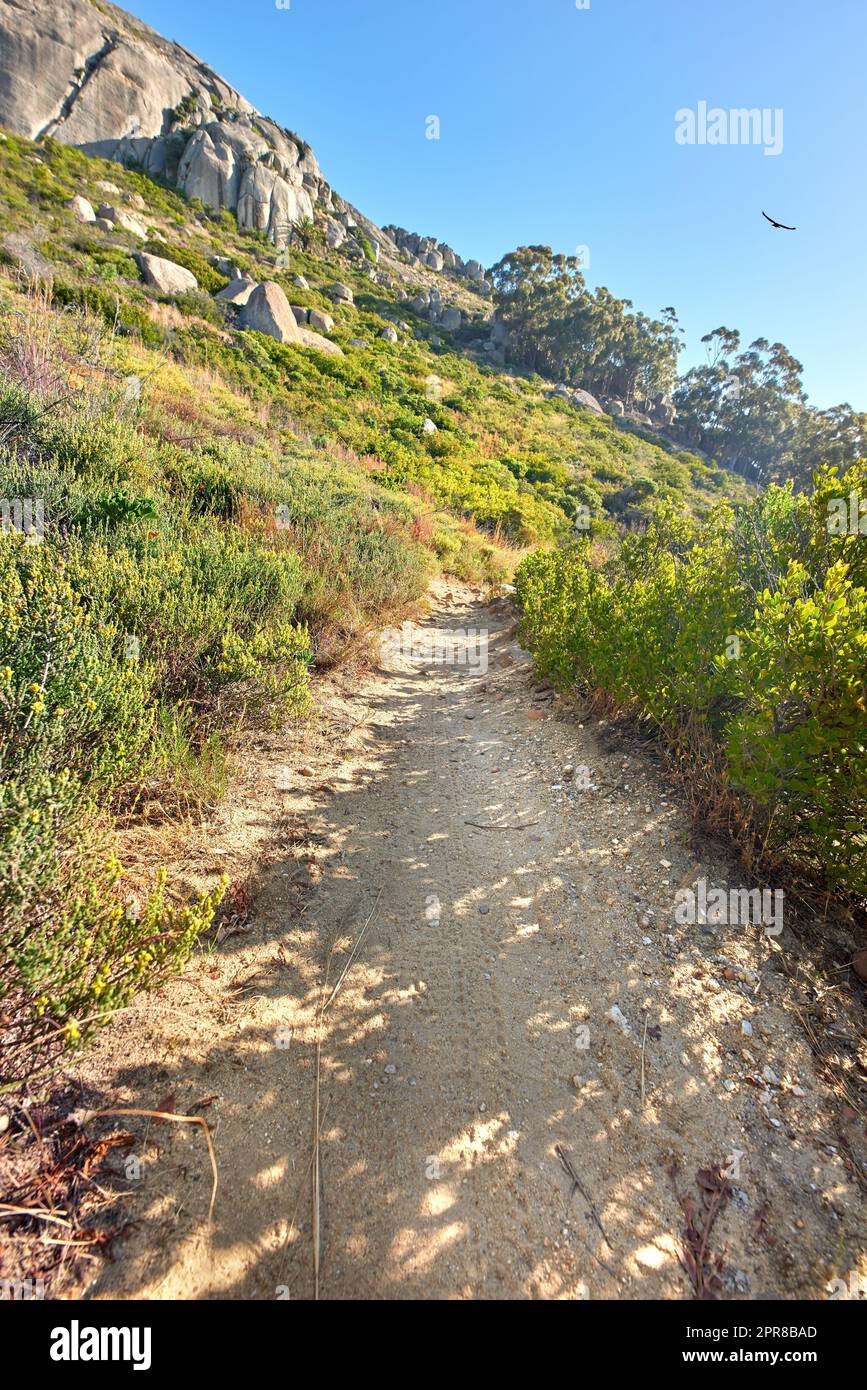 Hiking trail on Table Mountain National Park in Cape Town South Africa on a sunny day with blue sky. Scenic landscape with walking paths to explore in nature surrounded by green bushes and trees Stock Photo