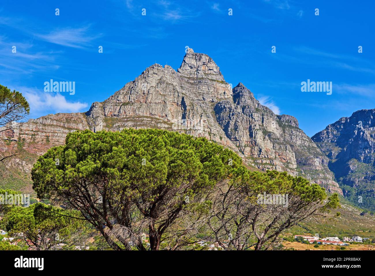A bottom view picture of Table mountain - South Africa. A beautiful nature view picture of a high mountain shaped like a lions head with green trees and a town next to it. A mountain range is seen. Stock Photo