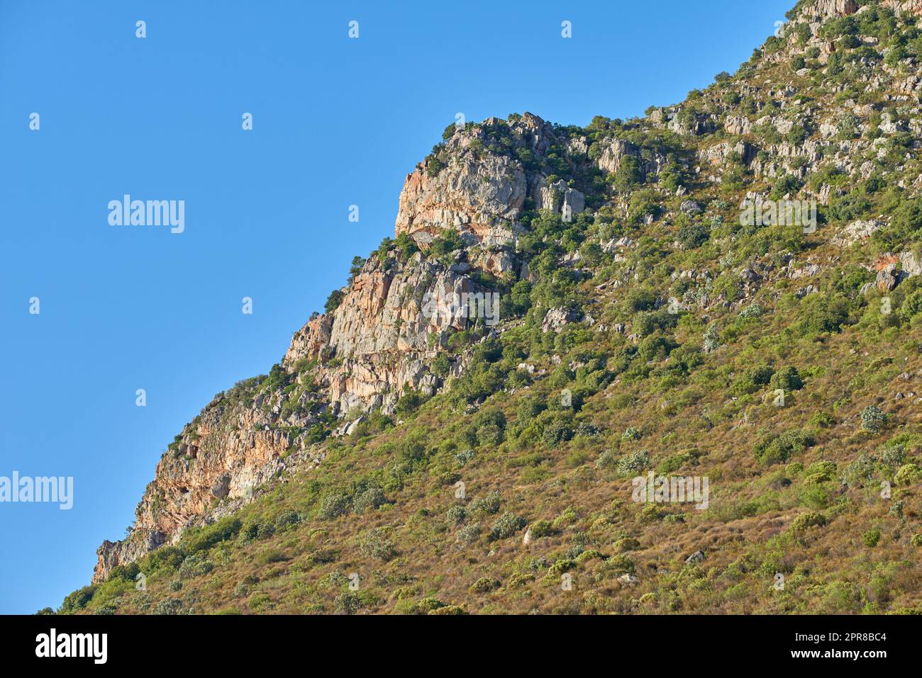 Landscape view of mountains in Hout Bay in Cape Town, South Africa during summer holiday and vacation. Scenic hills, scenery of fresh green flora growing in remote area. Exploring nature and the wild Stock Photo