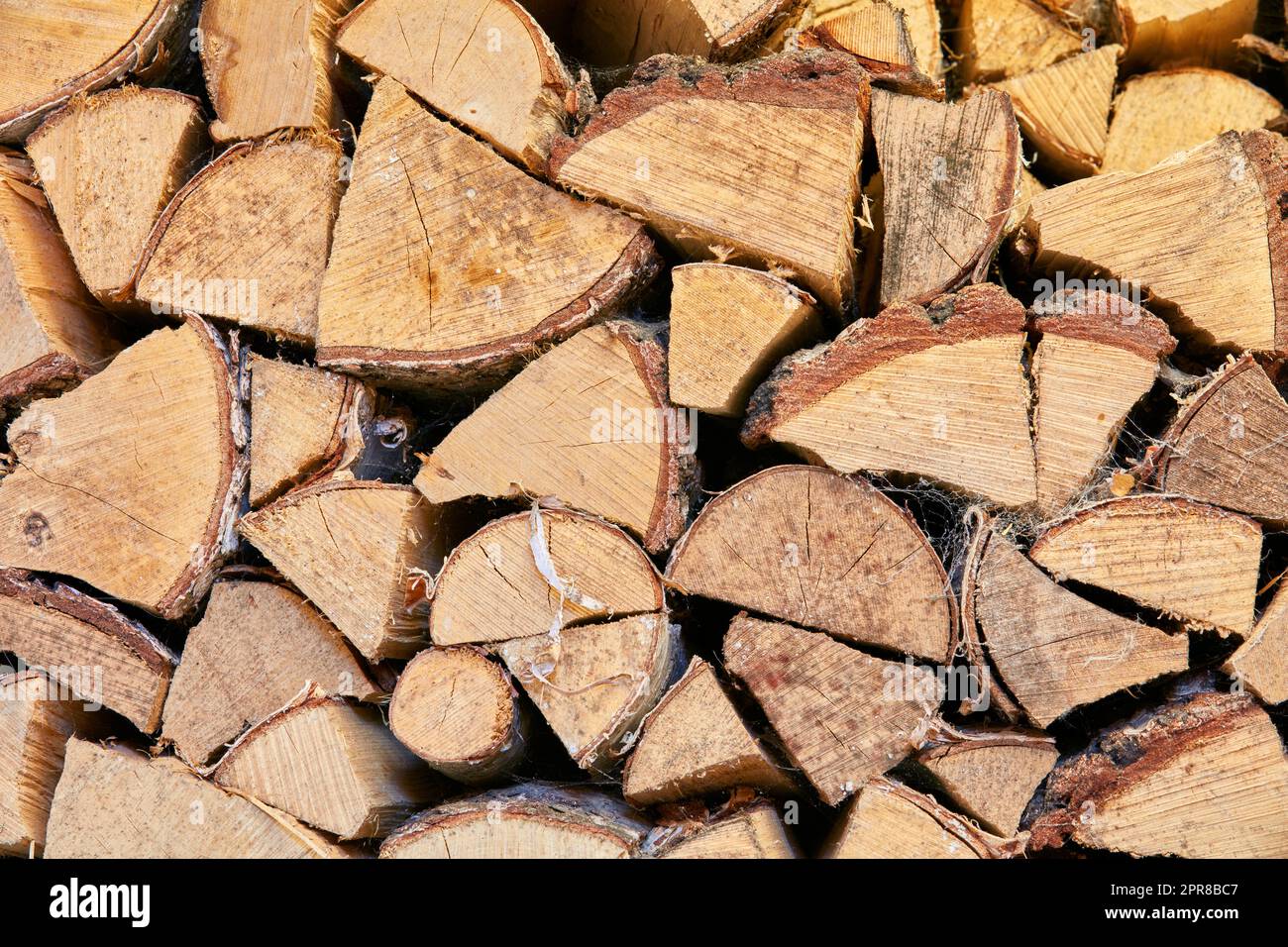 Wood chopped up and stacked into a storage pile. Collecting firewood as a source of energy. Different sizes and shapes of logs after felling, materials for tools and shelter from above Stock Photo