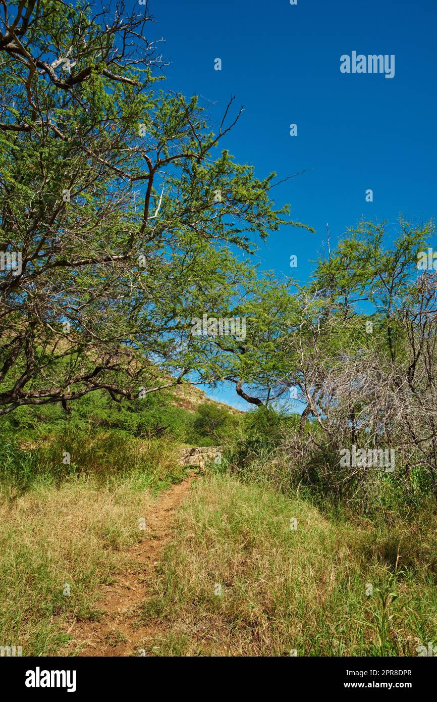 Outdoor hiking trail hi-res stock photography and images - Alamy