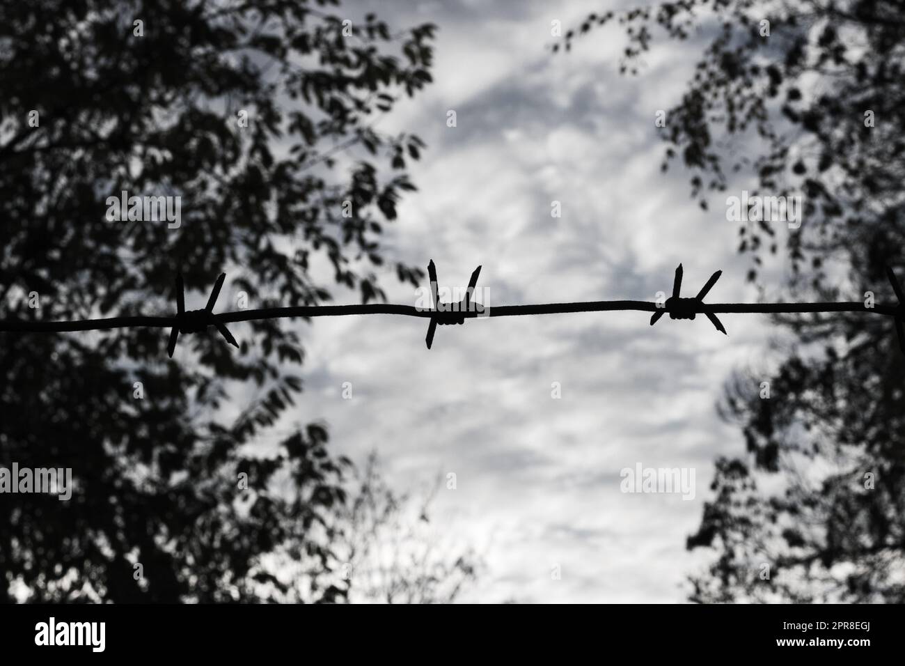 Barbed wire  against a background of sky Stock Photo