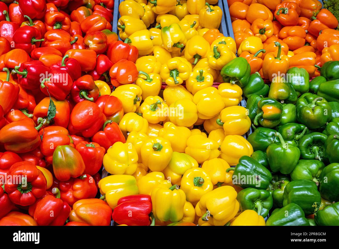 Bell pepper in different colors for sale at a market Stock Photo - Alamy