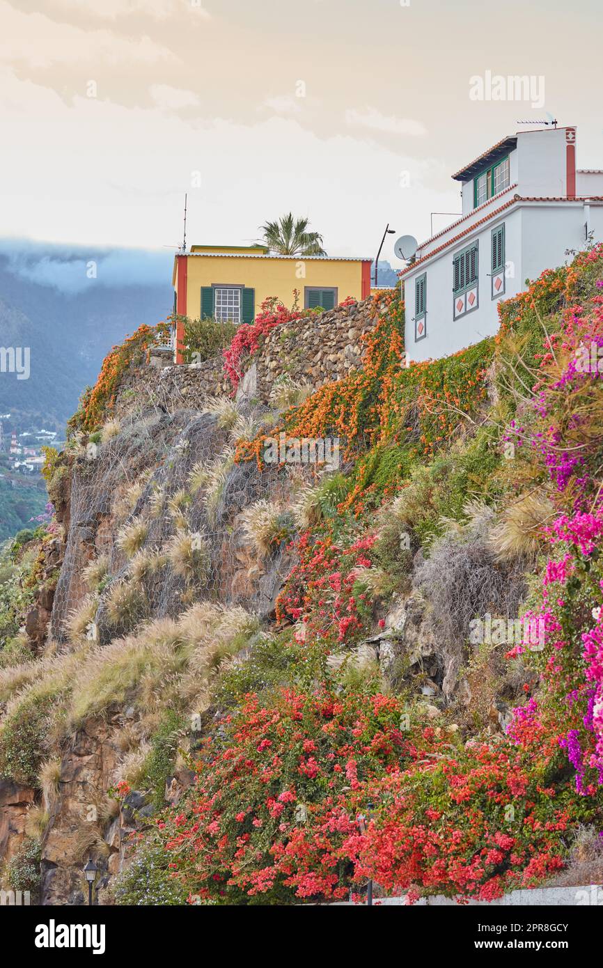 City view of residential buildings or houses on hill cliff in Santa Cruz, La Palma, Spain. Historical spanish, colonial architecture, vibrant flowers in tropical village of famous tourism destination Stock Photo