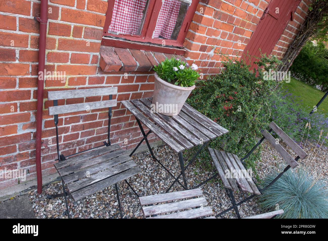 Wooden courtyard chairs and table in a private home garden with a fresh green potted plant in Denmark. A serene, tranquil, peaceful backyard in Sweden. Relaxing in a secluded area in springtime Stock Photo