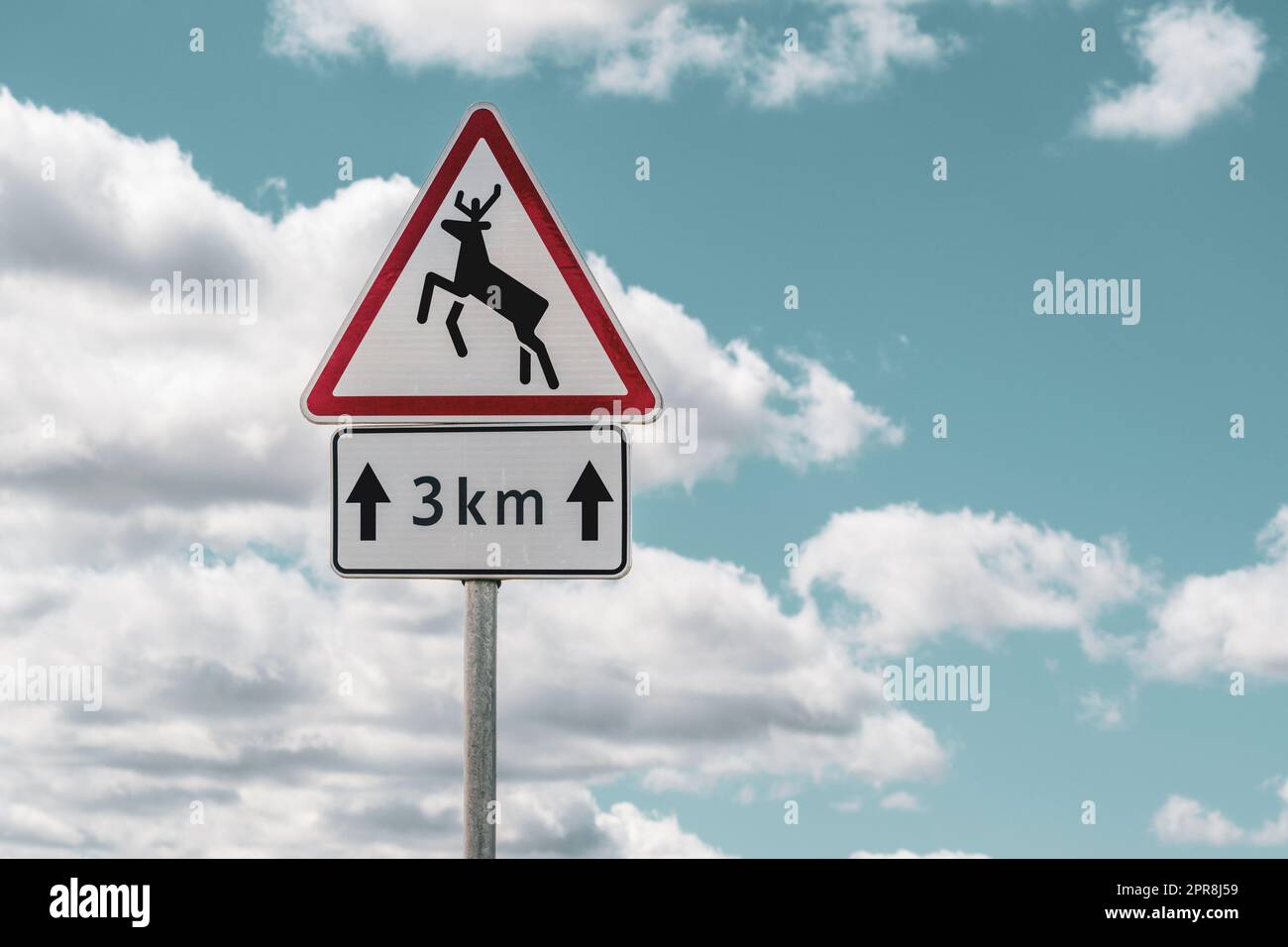 Animals crossing the road warning sign Stock Photo