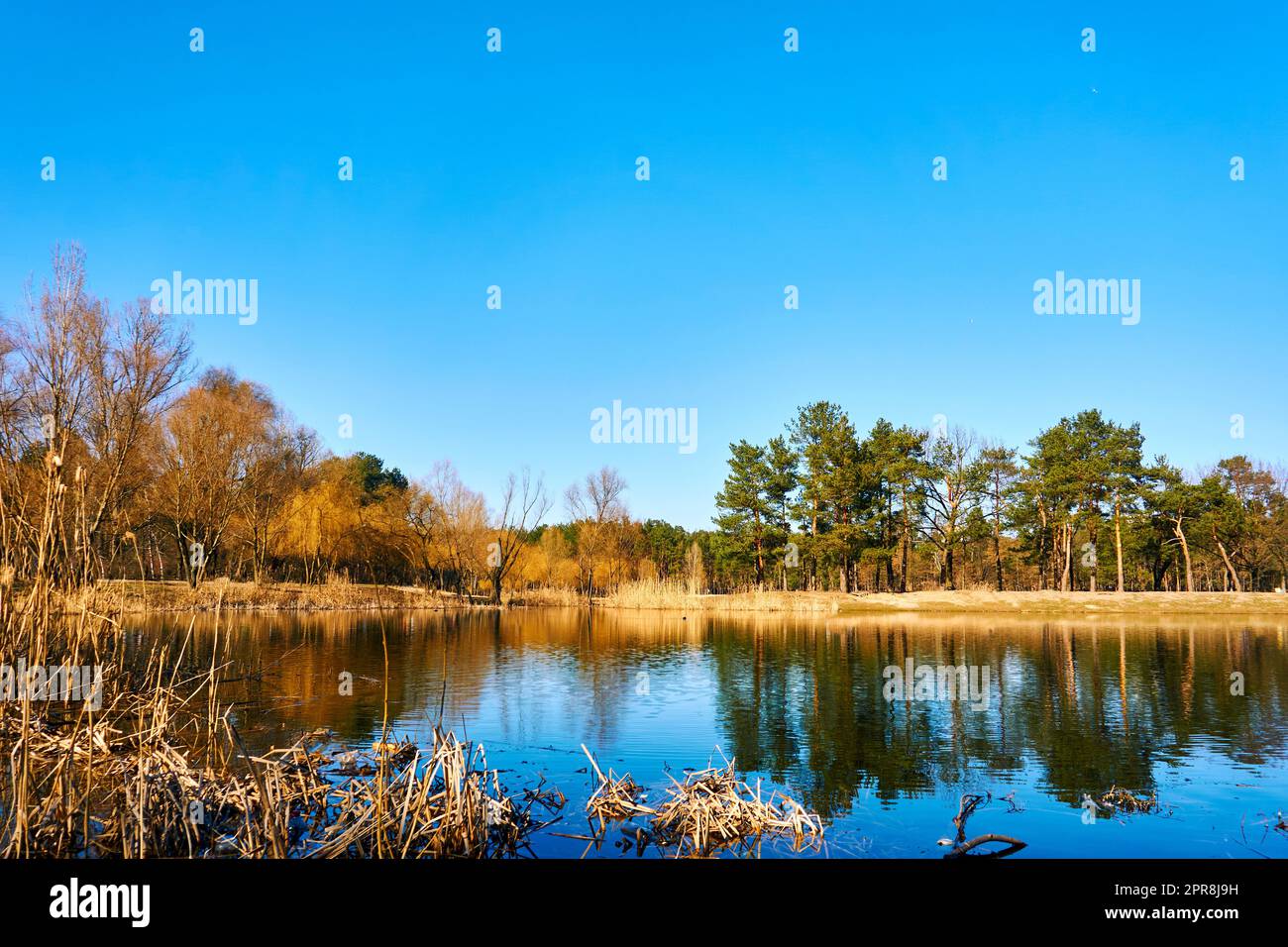 Golden autumn trees lake hi-res stock photography and images - Alamy