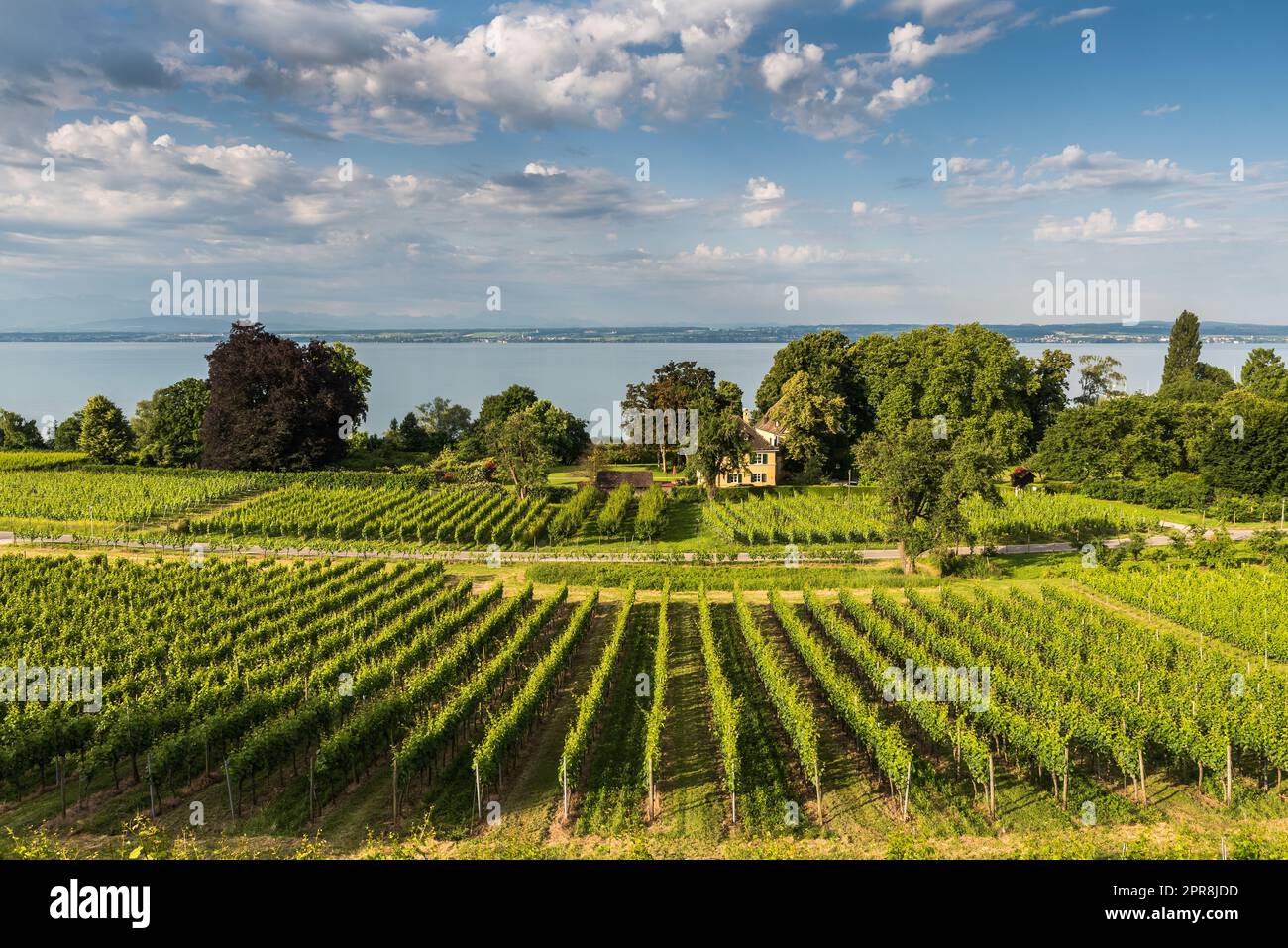 Wine region of baden wuerttemberg hires stock photography and images