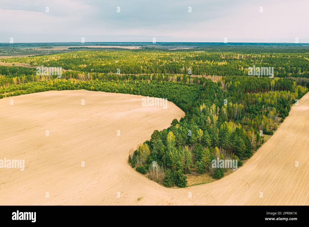 Aerial Top View Of Agricultural Landscape With Growing Forest Trees On Border With Field. Beautiful Rural Landscape In Bird's-eye View. Spring Field With Empty Soil Stock Photo