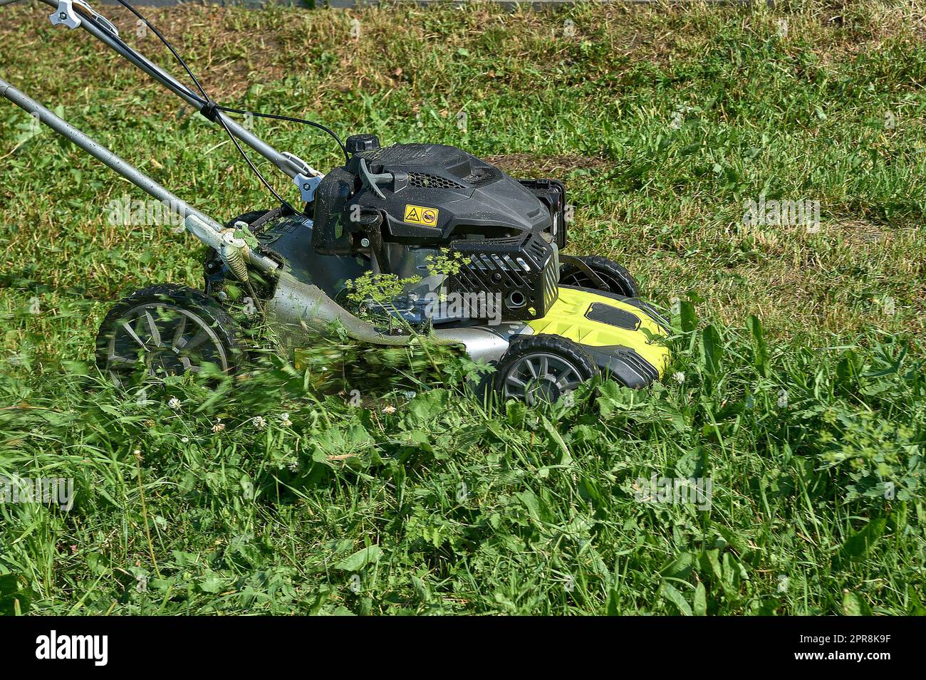 lawn mowing with a lawn mower Stock Photo Alamy
