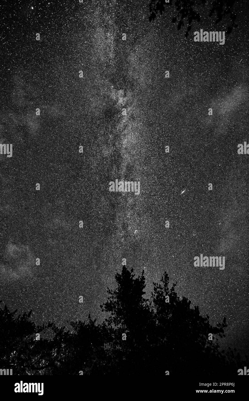 Night sky with plenty of sparkling stars illuminated in the galaxy. Starry constellation and universe in pitch black dark sky with silhouette shadow of trees. Background, screensaver or wallpaper Stock Photo