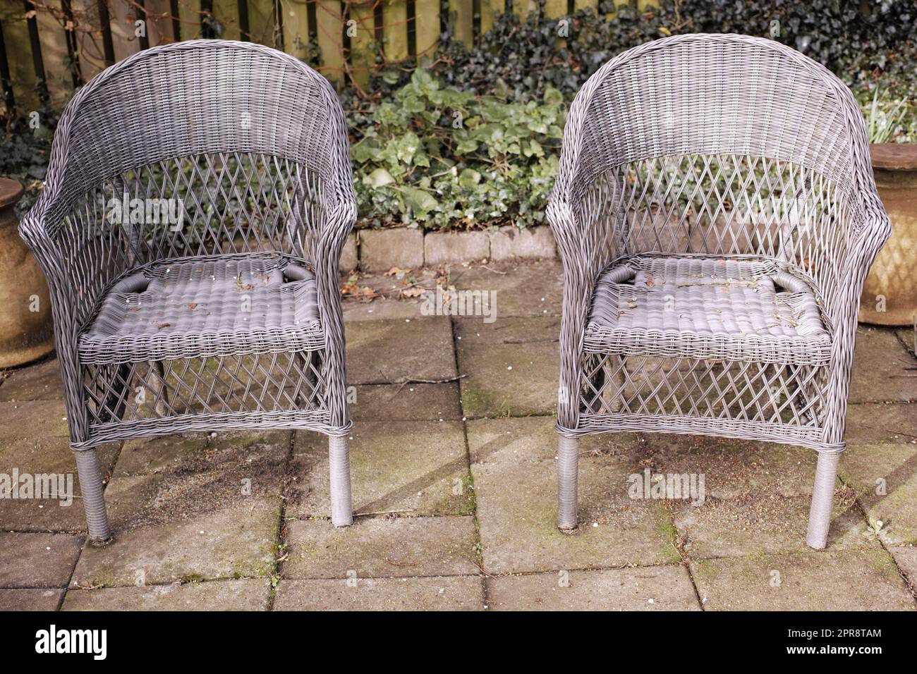 Two relaxing garden chairs and seating in a private and secluded courtyard at home to enjoy mother nature and fresh air. Serene, tranquil and peaceful backyard area with comfortable wicker furniture Stock Photo