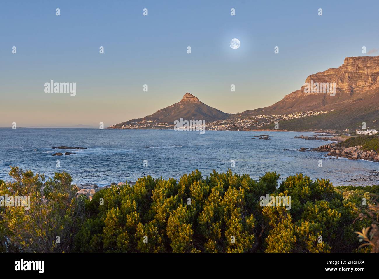 Lush plants in nature with the ocean and mountain in background against blue sky with a full moon. Scenic popular natural landmark and tourist attraction for adventure while on vacation in Cape Town Stock Photo