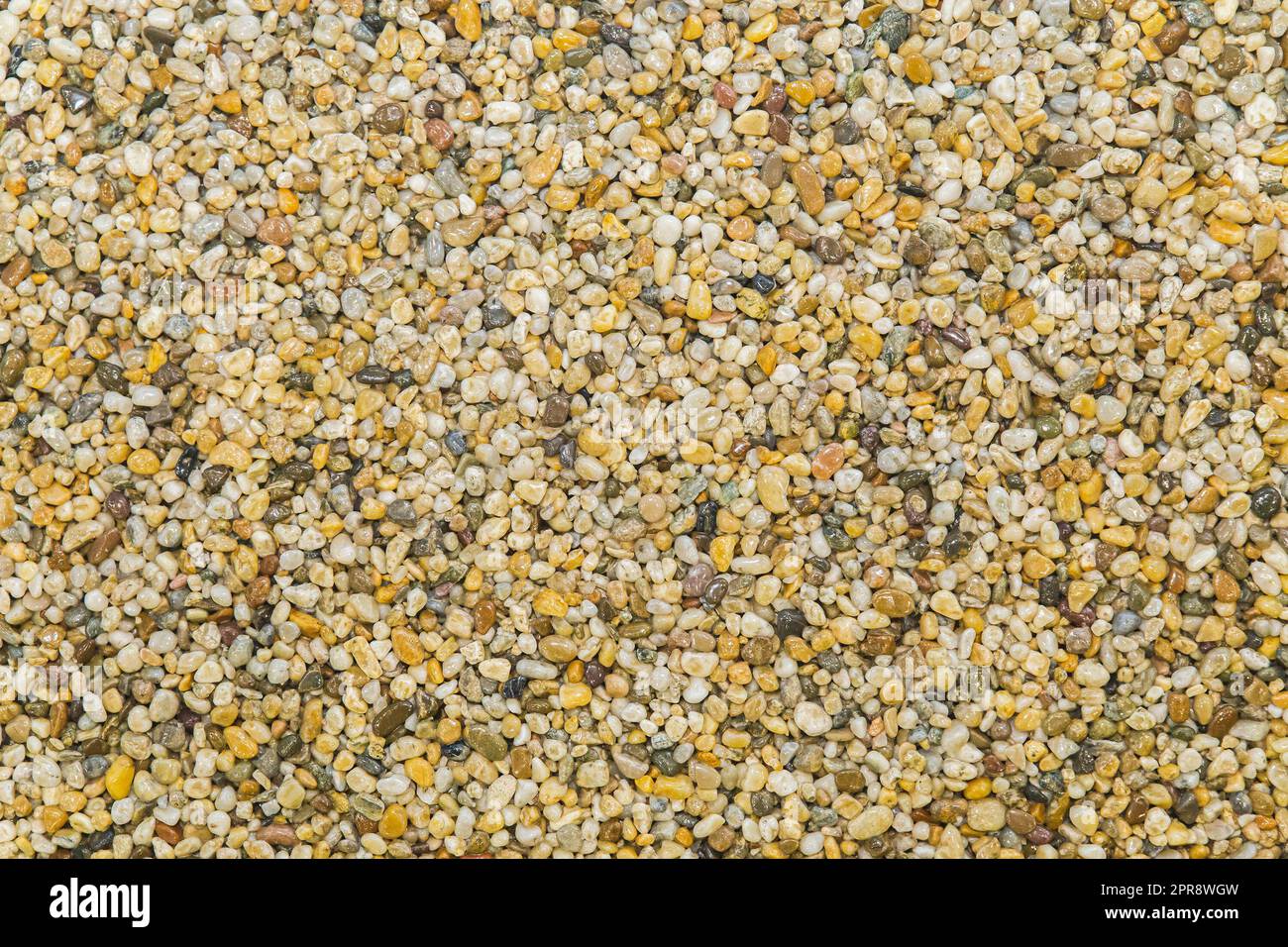 brown pavement lined with tiny round pebbles  Stock Photo