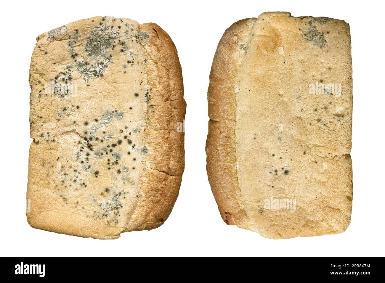 moldy loaf of white bread on a white background. Stock Photo
