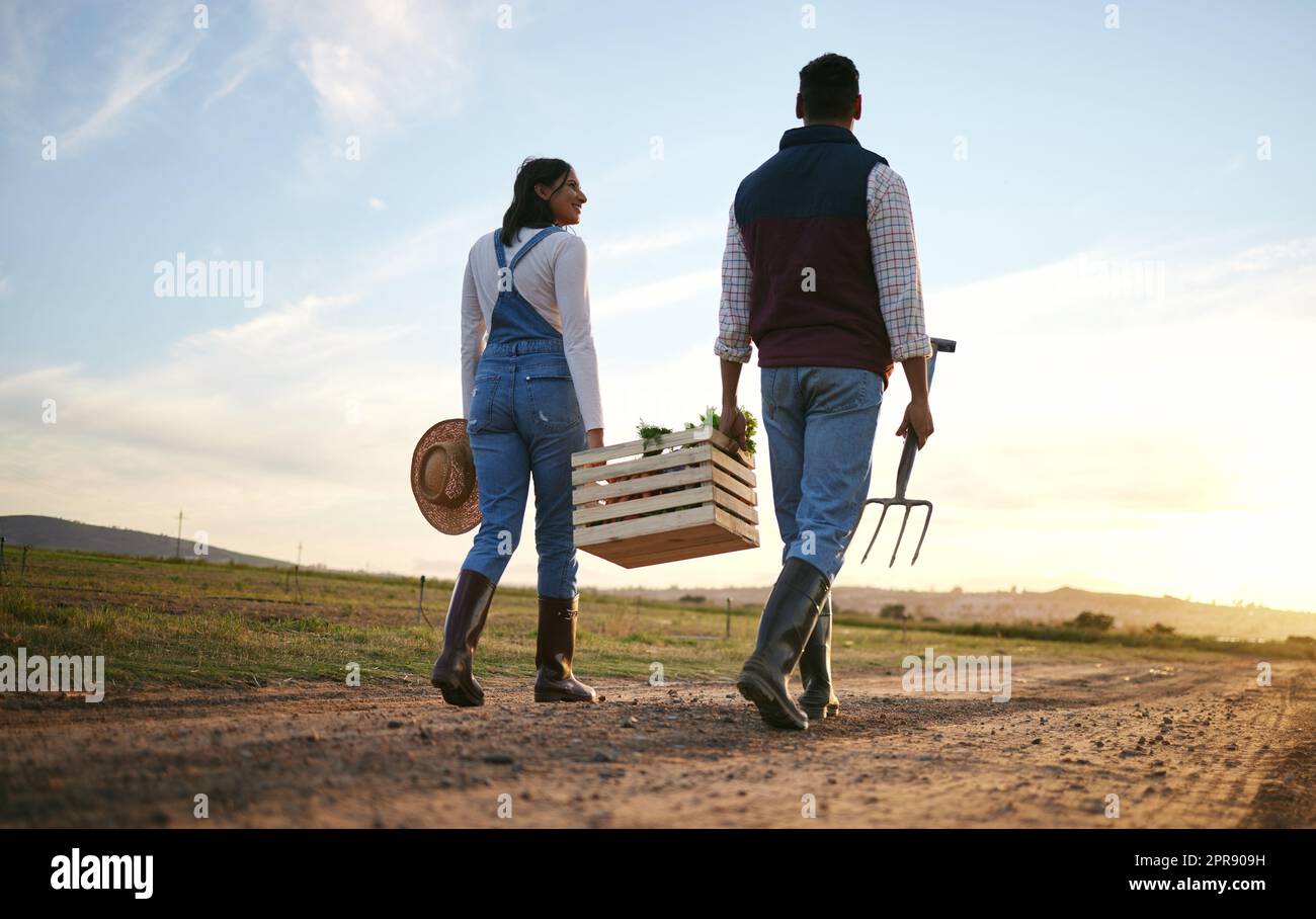 Two farmers carrying a vegetable basket together. Young man and woman walking with fresh organic produce on a dirt road Stock Photo