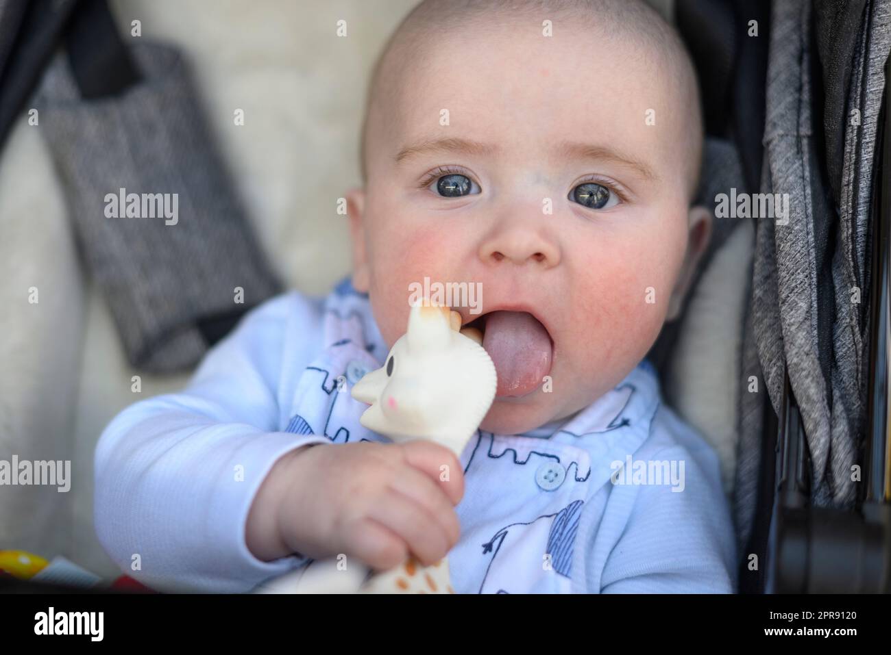 Baby boy with blue eyes biting on teether toy Stock Photo