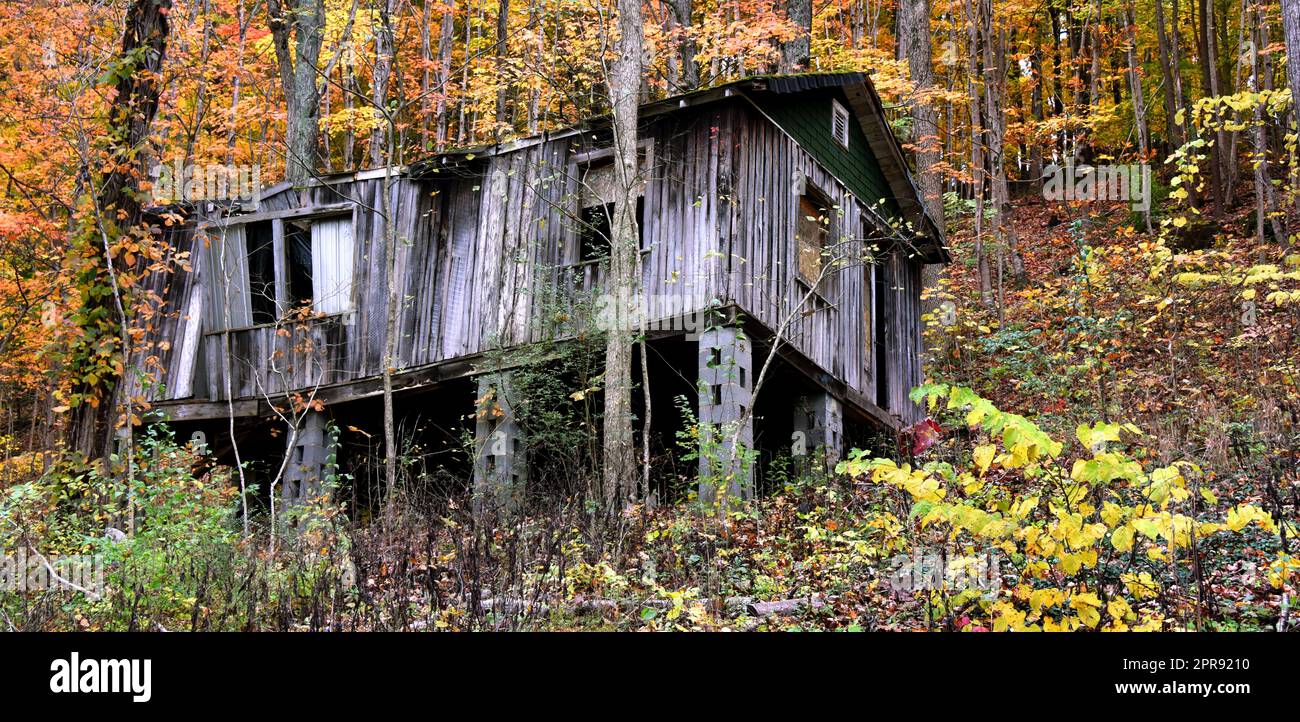 Abandoned house rests on cinder block stilts.  House is in ruins and outside is weathered and faded.  Autumn leaves surround it. Stock Photo
