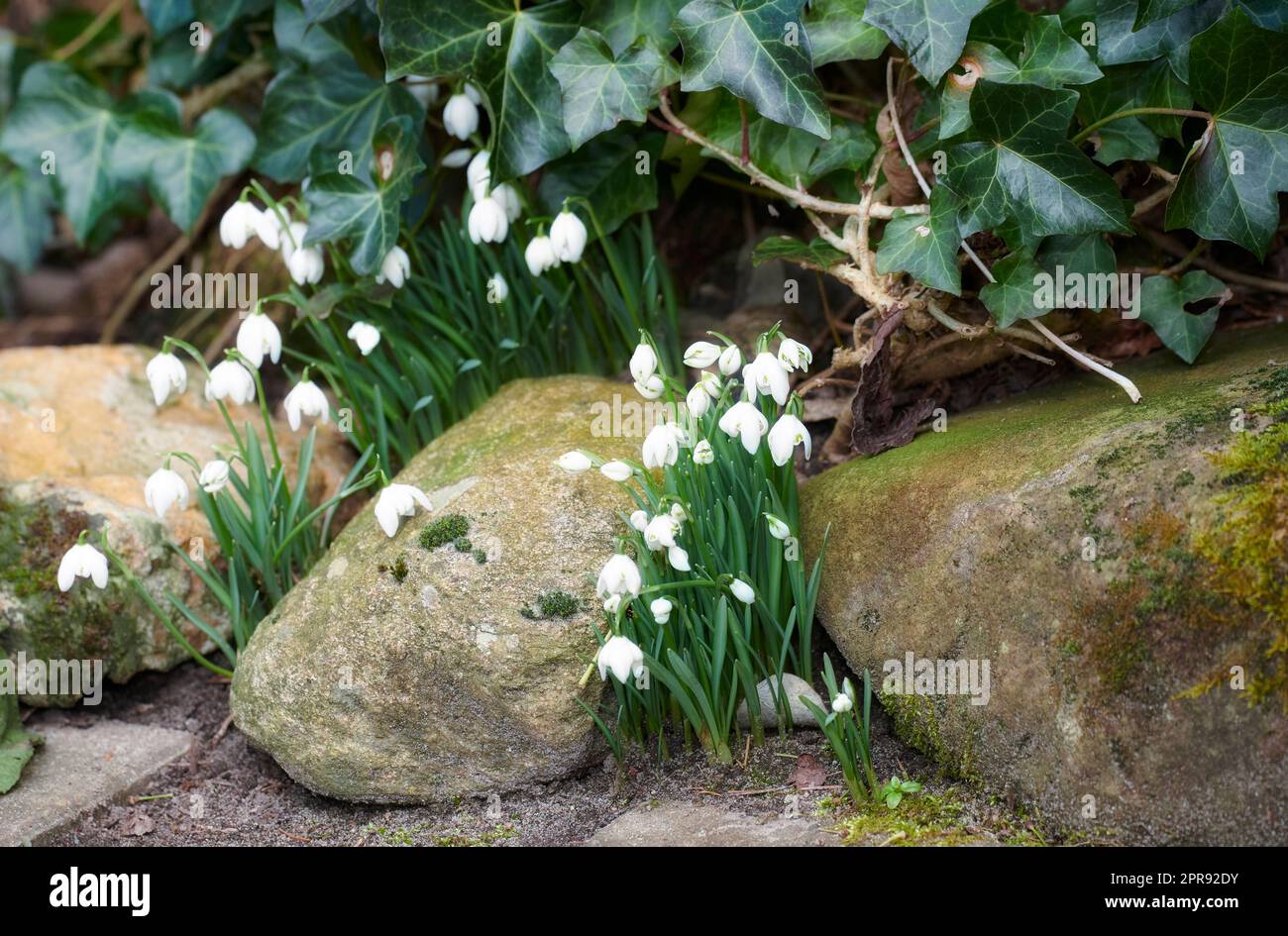 Peaceful white garden hires stock photography and images Alamy