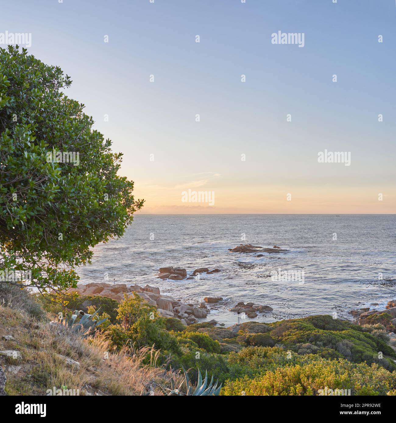 Landscape of ocean from Table Mountain park in Cape Town with copy space. Sunset view of sea with rocks and green grass, shrubs plant, bushes and a tree perfect for hiking, vacation trip or holiday Stock Photo