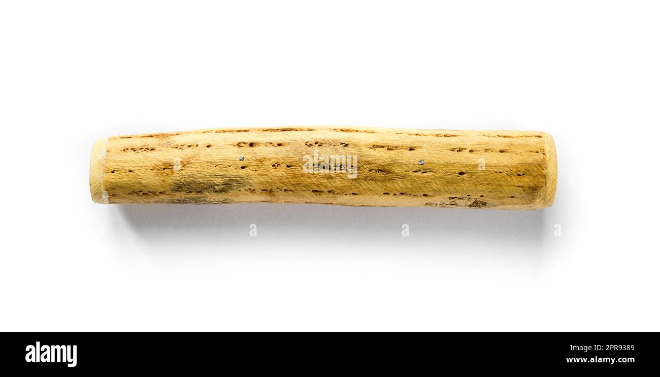 Traditional rain stick made of cactus wood isolated on white Stock