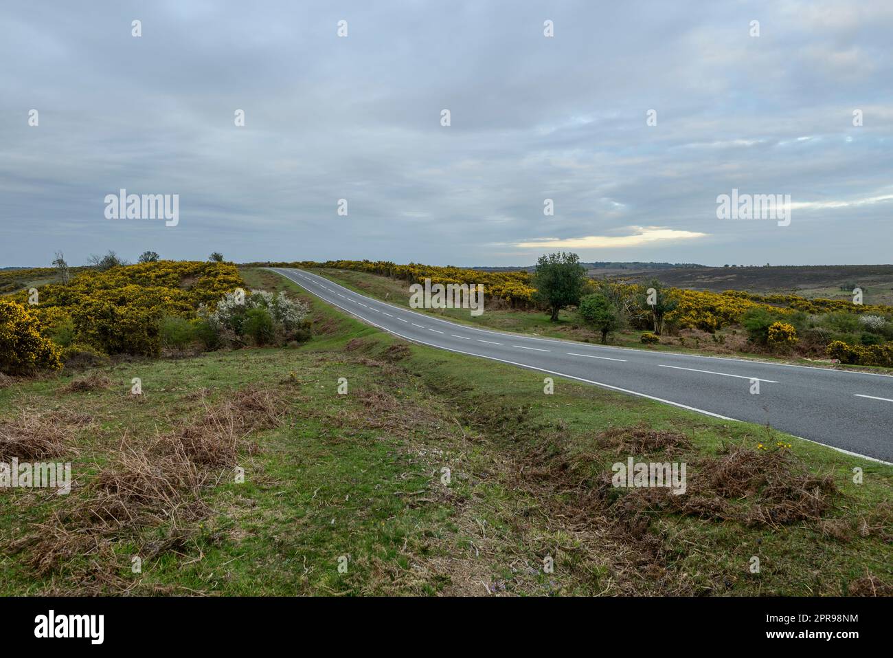 New Forest landscape with undulating road, Hampshire, UK Stock Photo