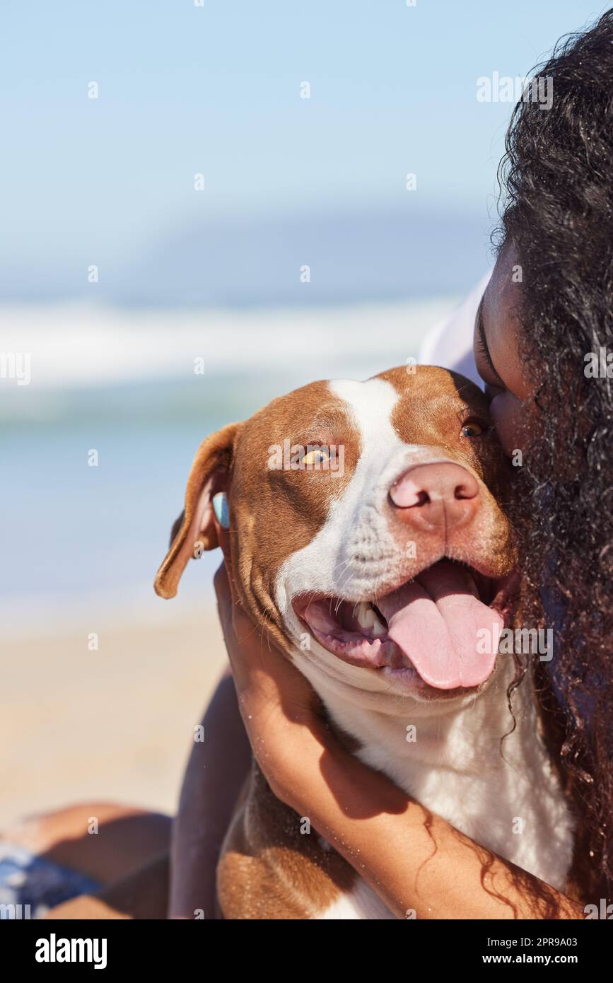 The best place in the world is right by mom. a woman spending a day at the beach with her adorable dog. Stock Photo