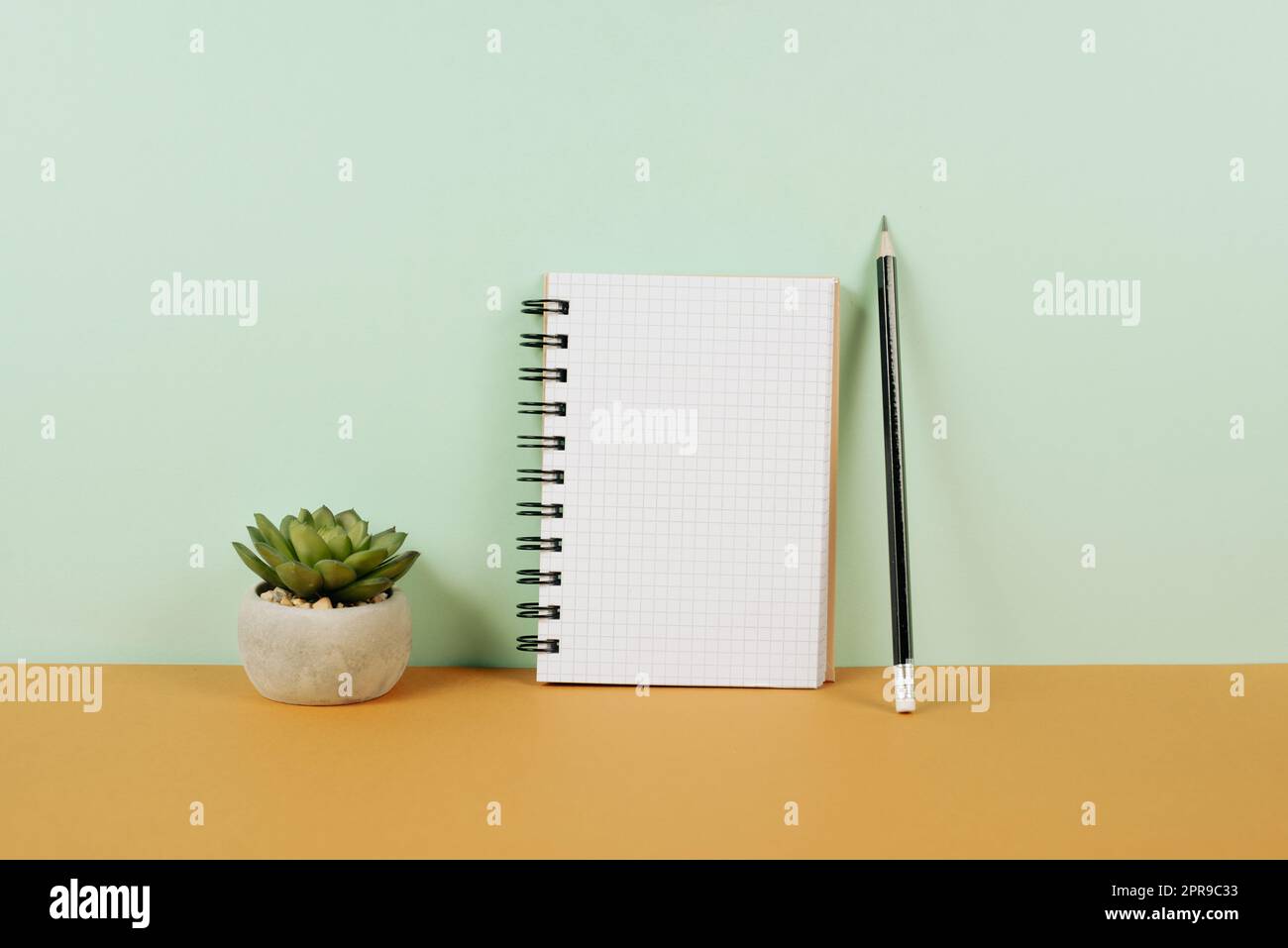 Empty notebook with a pen, eyeglasses and a cactus on an autumn colored background, brainstorming for new ideas, writing a message, taking a break, home office desk Stock Photo