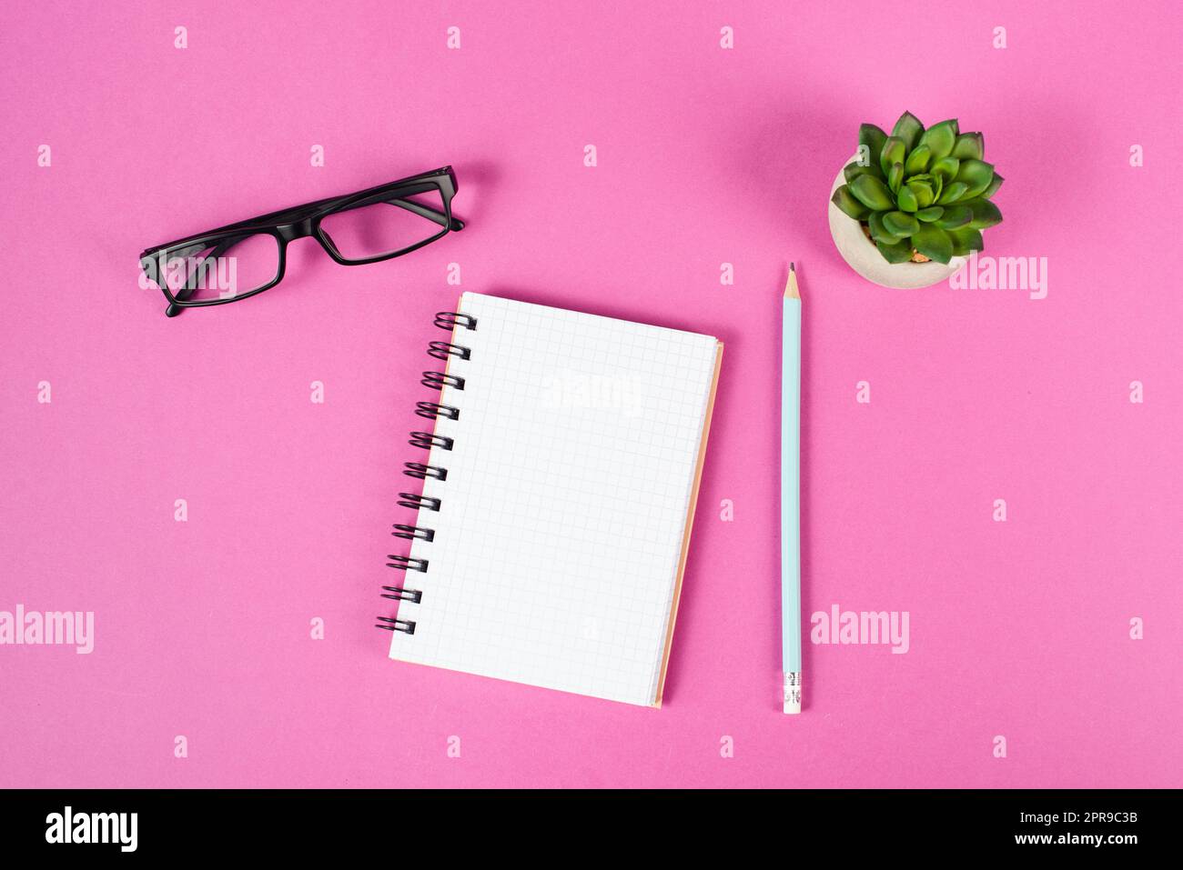 Empty notebook with a pen, eyeglasses and a cactus on a pink background, brainstorming for new ideas, writing a message, taking a break, home office desk Stock Photo