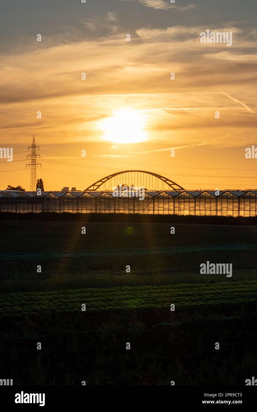 Golden sunset over greenhouse silhouettes with bridge and electricity tower for solar power in agricultural business on idyllic countryside and rural scenery shows glass greenhouses healthy vegetables Stock Photo