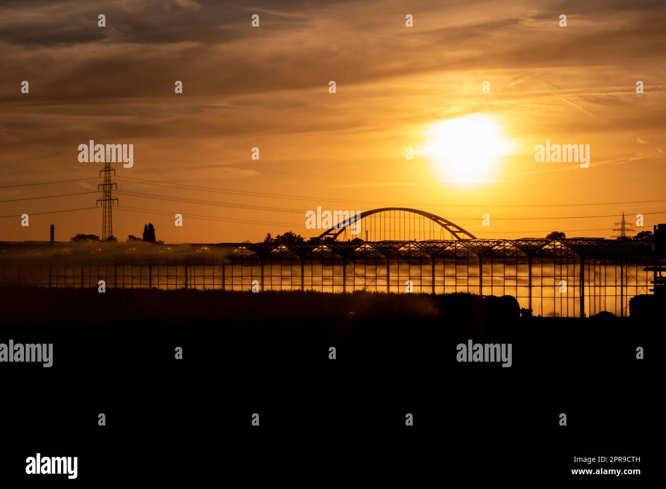 Golden sunset over greenhouse silhouettes with bridge and electricity tower for solar power in agricultural business on idyllic countryside and rural scenery shows glass greenhouses healthy vegetables Stock Photo