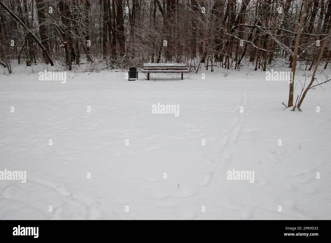 a lonely bench with an trashcan in the middle of a snow-covered forest Stock Photo