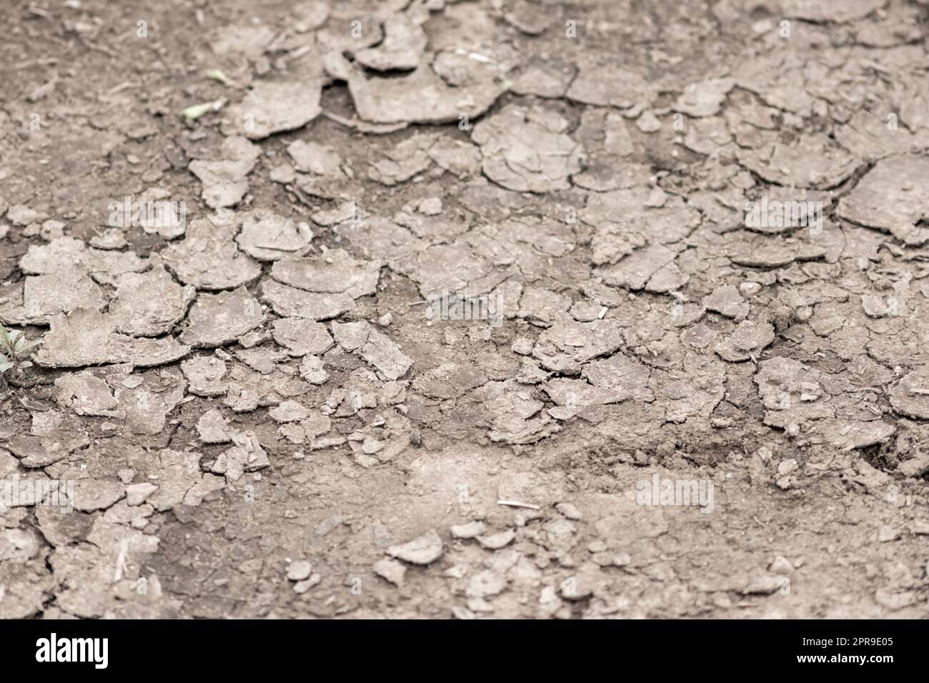 No rainfall causes dry fields during drought after very hot heat ...